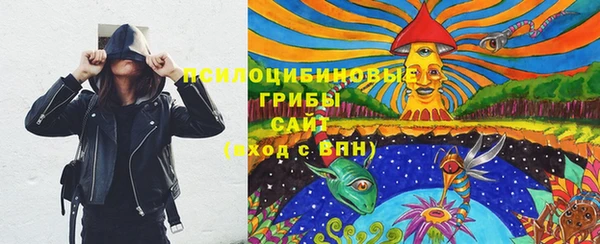 spice Лабытнанги